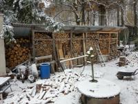 IMG_20231119_094837 (1024x768).jpg